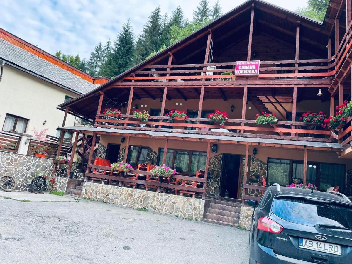 Cabana Loredana Vadu Motilor Exteriér fotografie